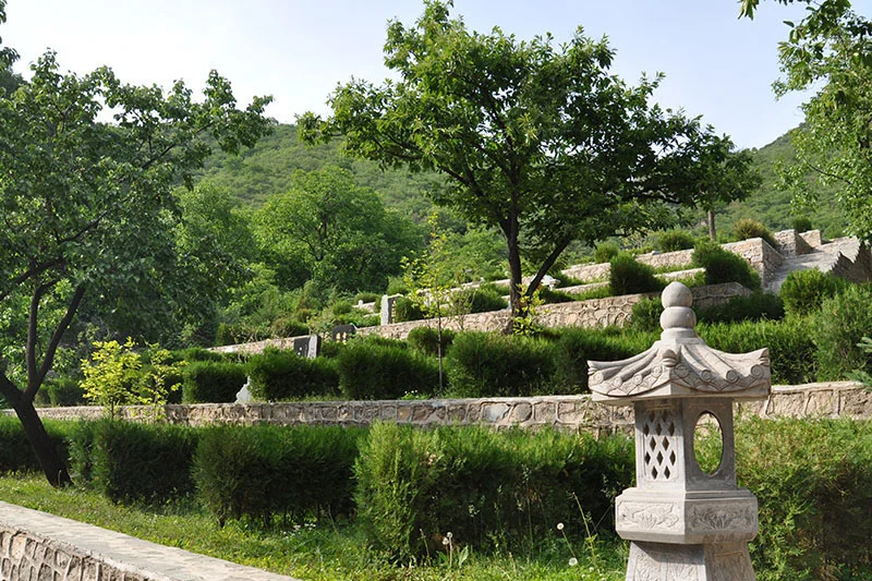 <a href=http://www.xinshouning.cn/ target=_blank class=infotextkey><a href=http://www.xinshouning.cn/wap/ target=_blank class=infotextkey>九公山墓地</a></a><a href=http://www.xinshouning.cn/cul/ target=_blank class=infotextkey><a href=http://www.xinshouning.cn/wap/cul/ target=_blank class=infotextkey>树葬</a></a>,<a href=http://www.xinshouning.cn/ target=_blank class=infotextkey><a href=http://www.xinshouning.cn/wap/ target=_blank class=infotextkey>九公山墓地</a></a>,<a href=http://www.xinshouning.cn/ target=_blank class=infotextkey><a href=http://www.xinshouning.cn/wap/ target=_blank class=infotextkey>九公山公墓</a></a>,<a href=http://www.xinshouning.cn/ target=_blank class=infotextkey><a href=http://www.xinshouning.cn/wap/ target=_blank class=infotextkey>九公山公墓</a></a>环境,<a href=http://www.xinshouning.cn/ target=_blank class=infotextkey><a href=http://www.xinshouning.cn/wap/ target=_blank class=infotextkey>北京墓地</a></a>