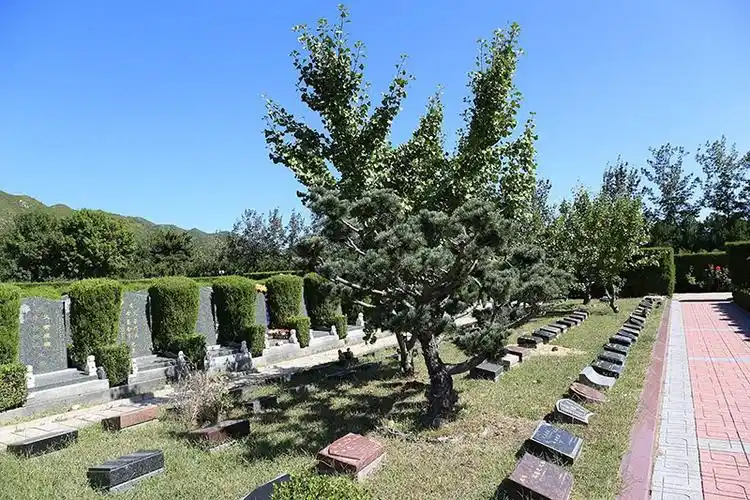 北京昌平与怀柔墓地特色概览