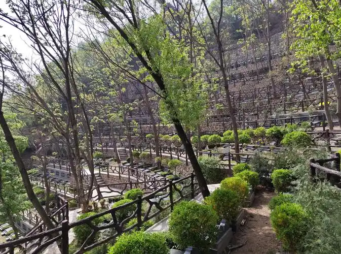 <a href=http://www.xinshouning.cn/news/ target=_blank class=infotextkey><a href=http://www.xinshouning.cn/wap/news/ target=_blank class=infotextkey>生态葬</a></a>,九公山陵园