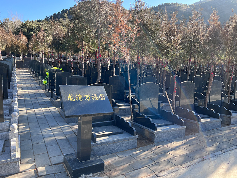 节地葬,九公山<a href=http://www.xinshouning.cn/cul/ target=_blank class=infotextkey><a href=http://www.xinshouning.cn/wap/cul/ target=_blank class=infotextkey>树葬</a></a>