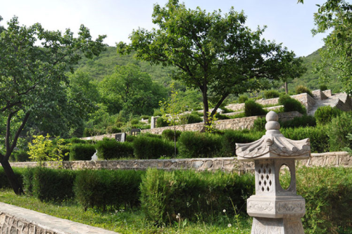 <a href=http://www.xinshouning.cn/news/ target=_blank class=infotextkey><a href=http://www.xinshouning.cn/wap/news/ target=_blank class=infotextkey>生态葬</a></a>,<a href=http://www.xinshouning.cn/cul/ target=_blank class=infotextkey><a href=http://www.xinshouning.cn/wap/cul/ target=_blank class=infotextkey>树葬</a></a>,殡葬文化,九公山陵园咨询,<a href=http://www.xinshouning.cn/ target=_blank class=infotextkey><a href=http://www.xinshouning.cn/wap/ target=_blank class=infotextkey>北京陵园</a></a>