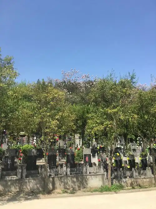 九公山陵园,九公山<a href=http://www.xinshouning.cn/maus/ target=_blank class=infotextkey><a href=http://www.xinshouning.cn/wap/maus/ target=_blank class=infotextkey>名人墓</a></a>,<a href=http://www.xinshouning.cn/ target=_blank class=infotextkey><a href=http://www.xinshouning.cn/wap/ target=_blank class=infotextkey>九公山公墓</a></a>,九公山陵园咨询,陵园环境