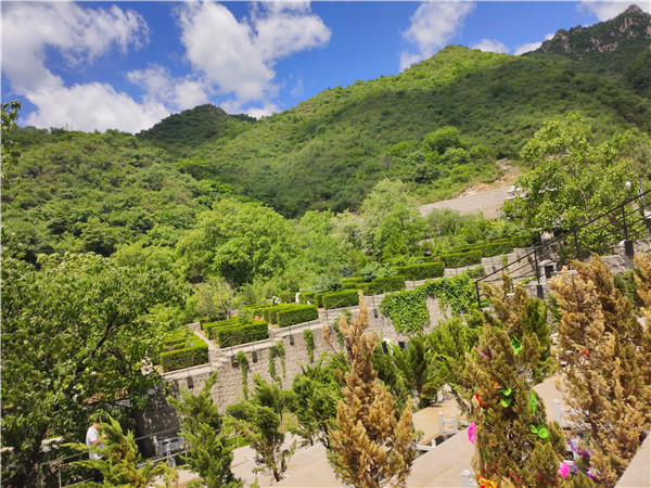 九公山陵园,殡葬文化,殡葬纪念,纪念仪式,殡葬咨询