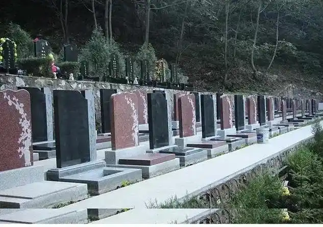 探秘九公山陵园：名人